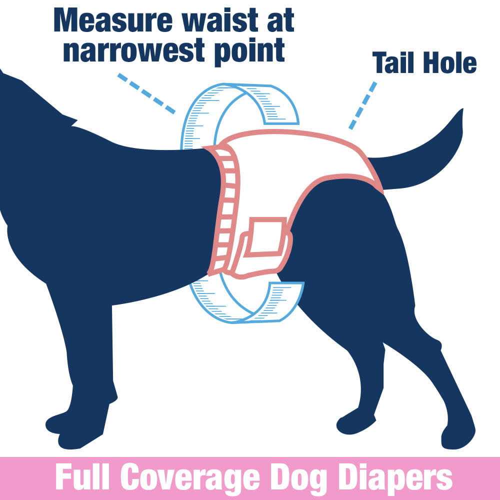 Female Dog Disposable Diapers M589