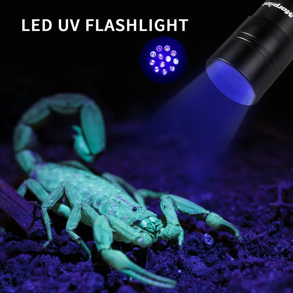 Multifunctional UV Flashlight 12Leds Ultraviolet Blacklight U557