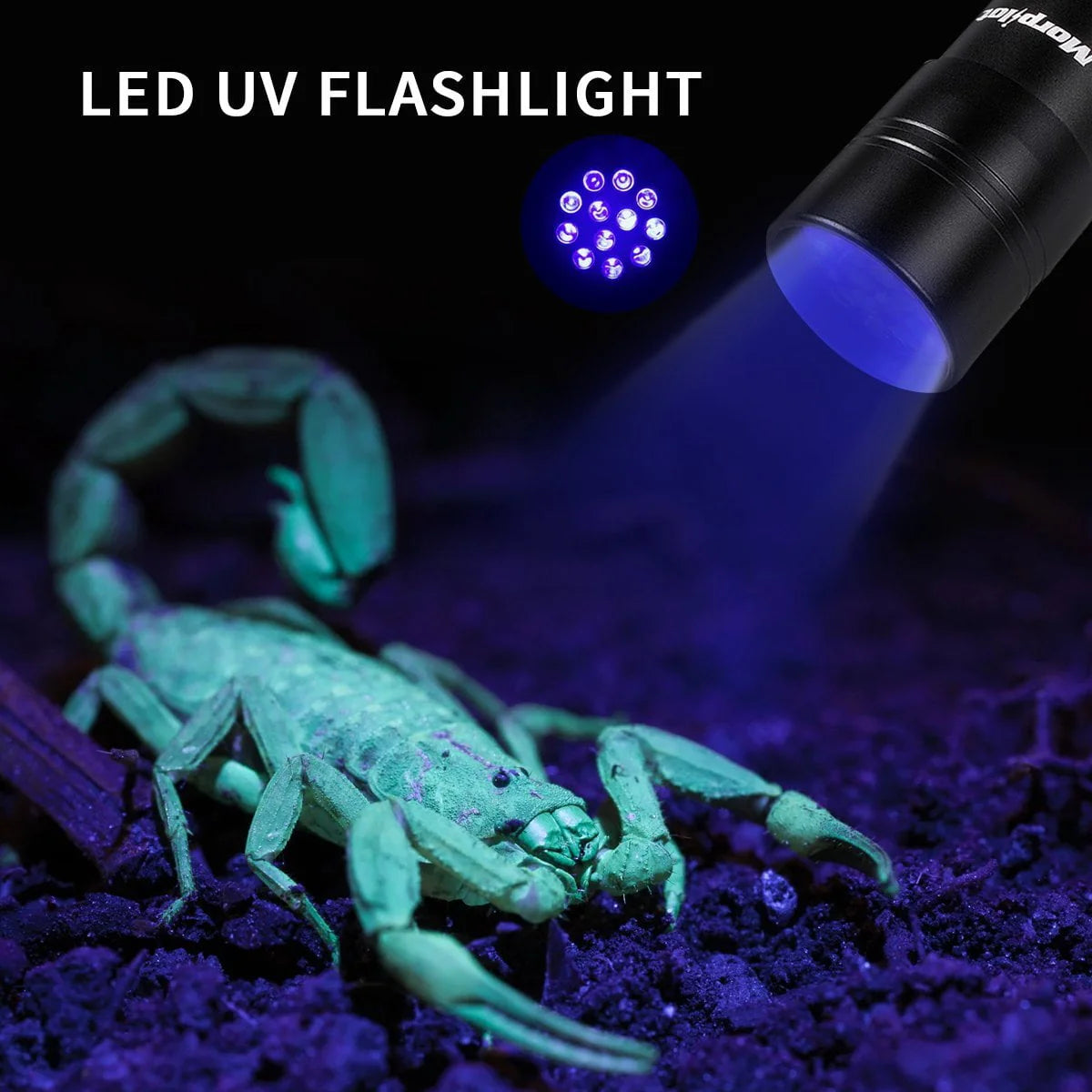 Multifunctional UV Flashlight 12Leds Ultraviolet Blacklight U557