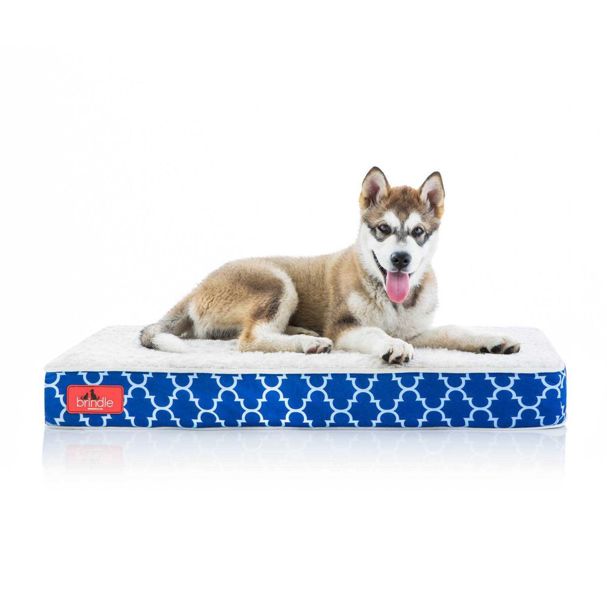 Waterproof Memory Foam Pet Bed D97438
