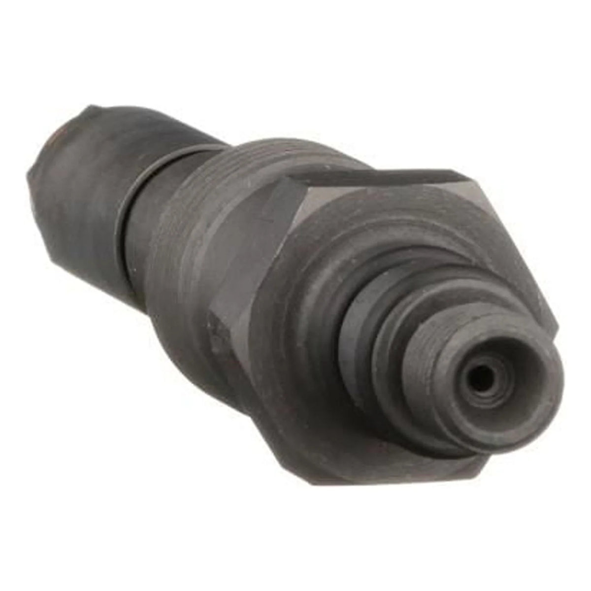 Fuel Injector D3648