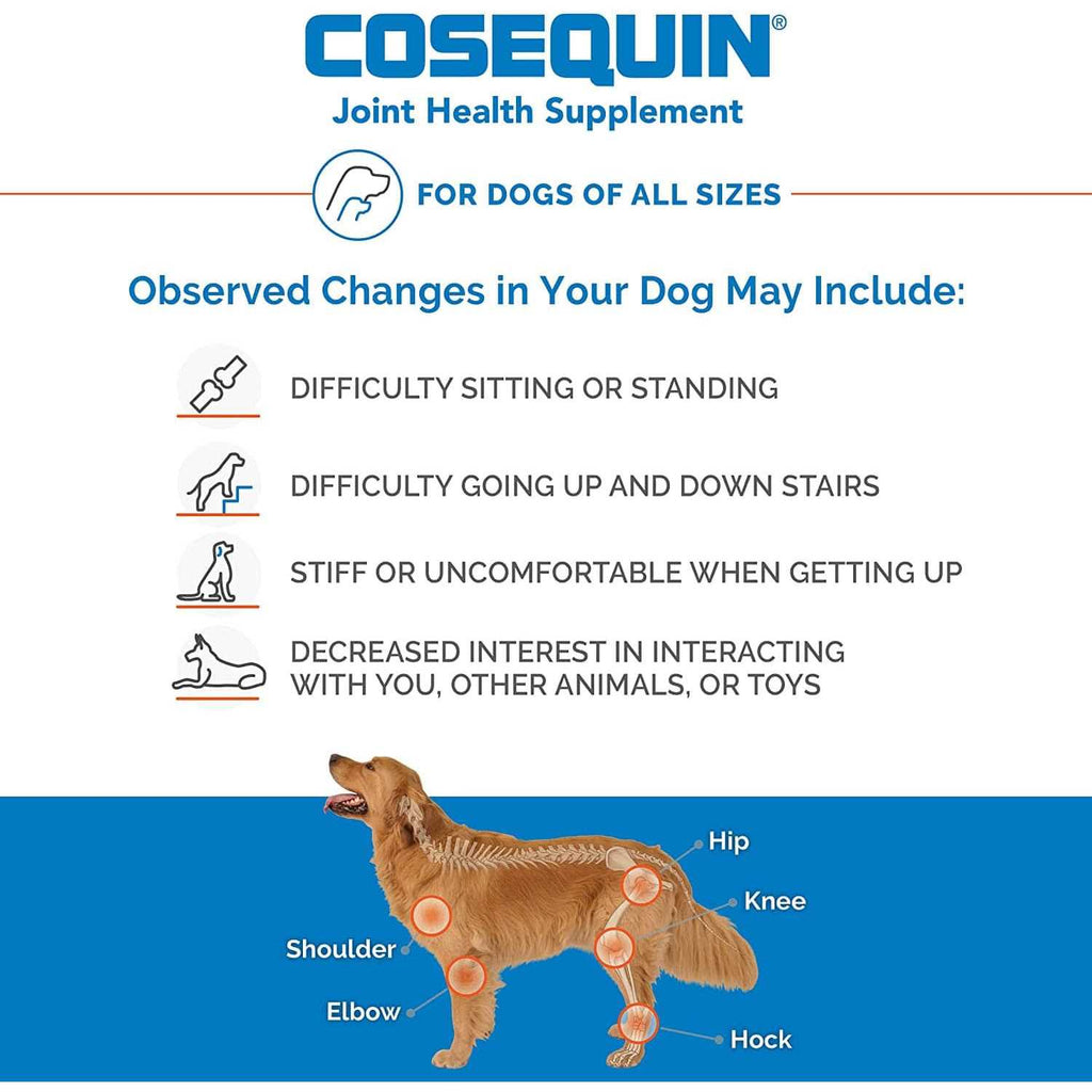 Chewable Tablets for Dogs X7129