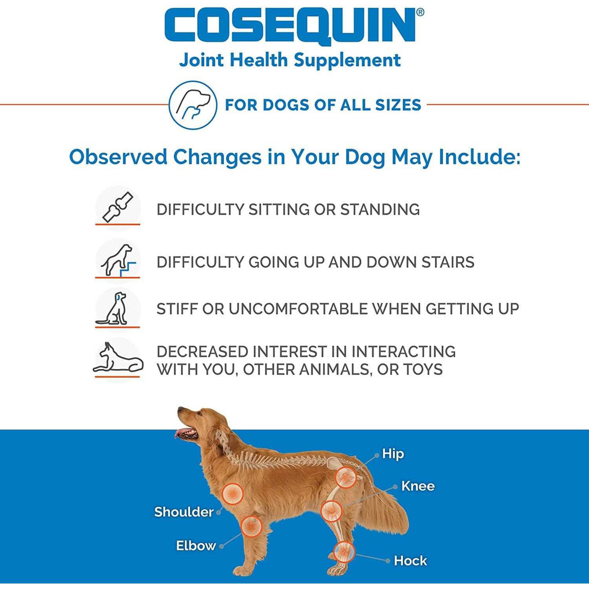 Chewable Tablets for Dogs X7129