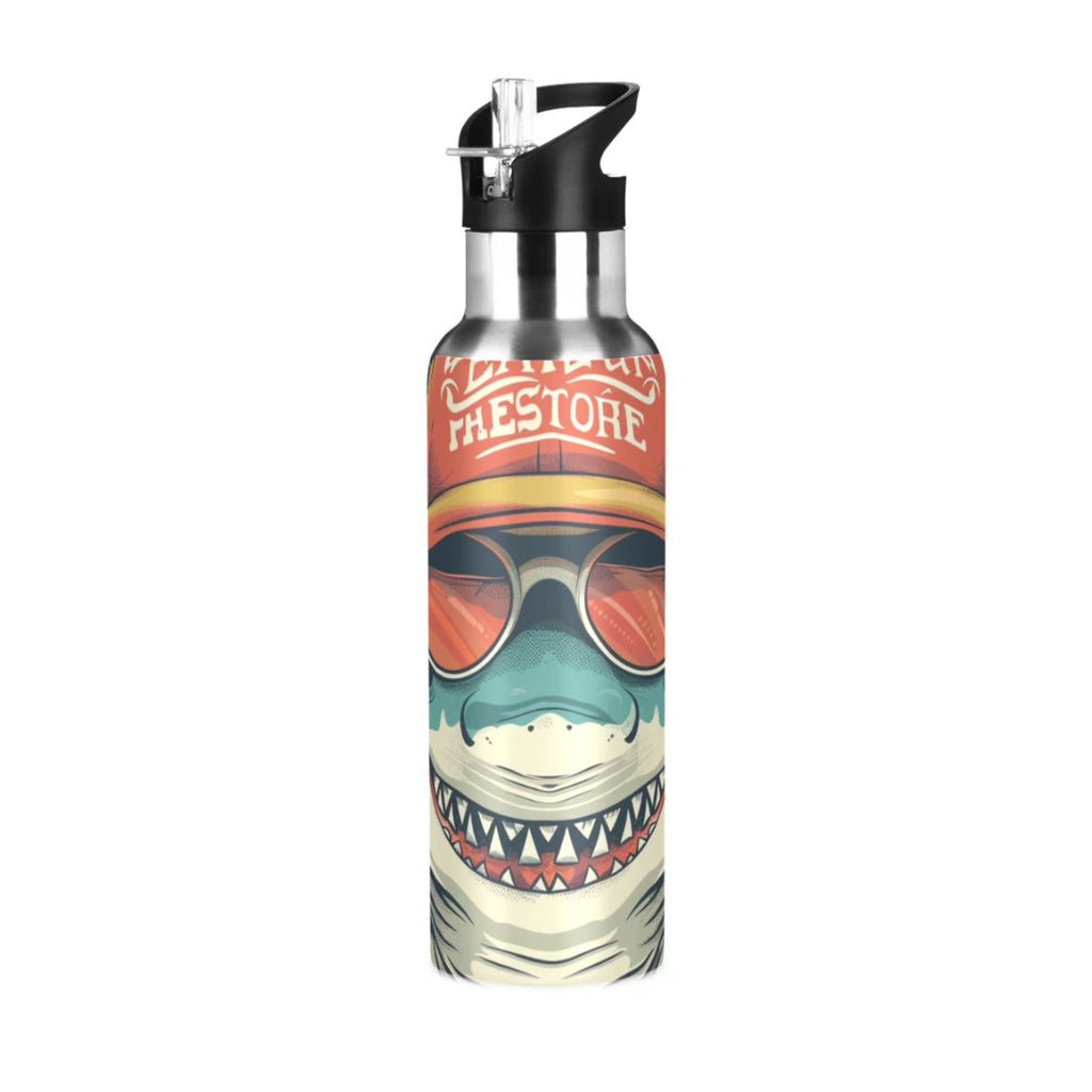 Insulated Stainless Steel Water Bottle with Straw Lid, 20 oz S243664