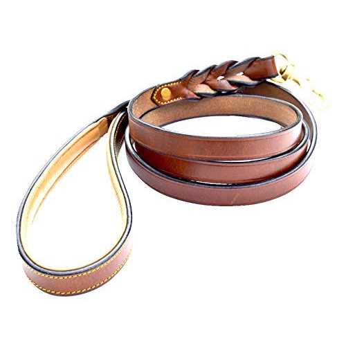 Leather Braided Dog Leash M760