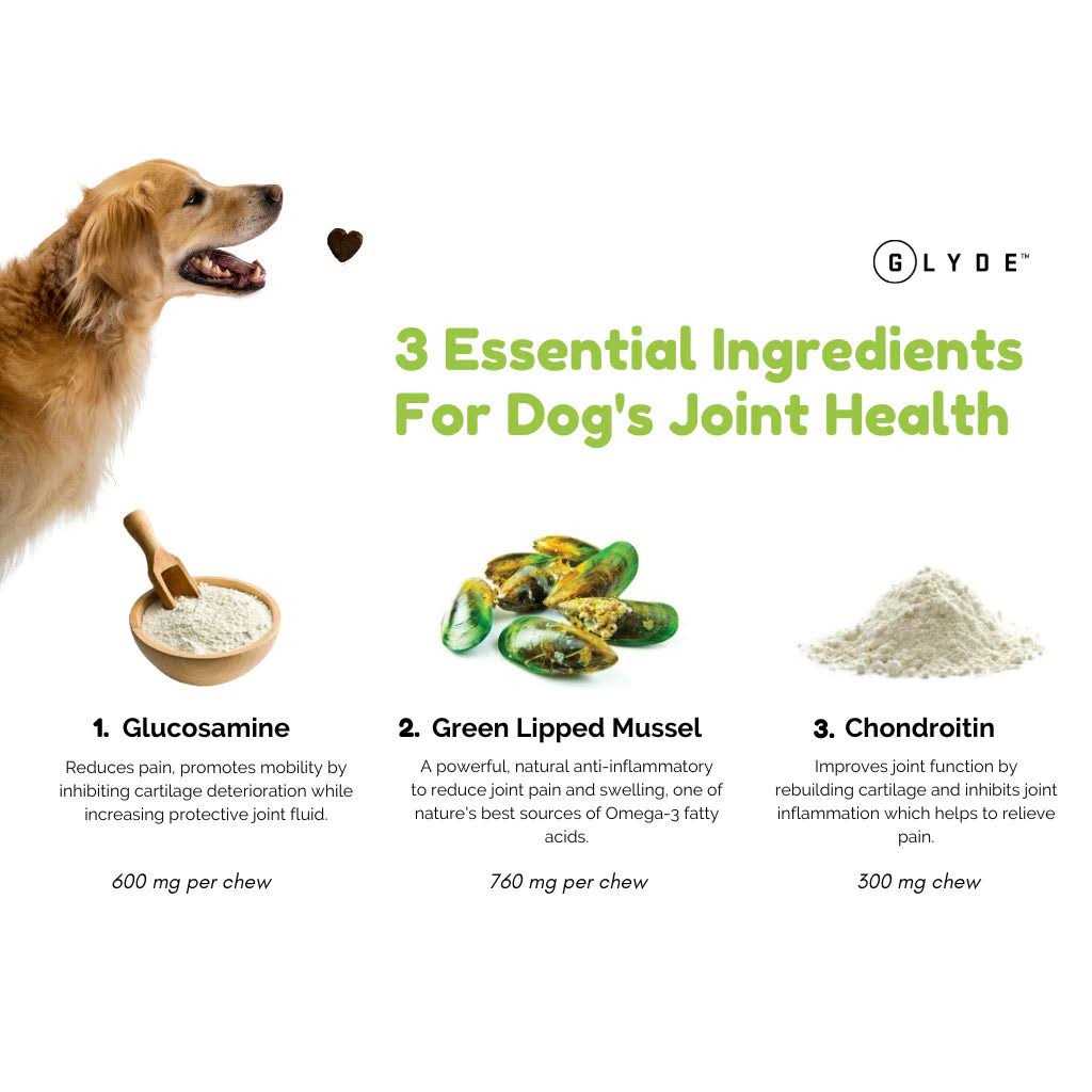 Mobility Chews for Dogs H174094