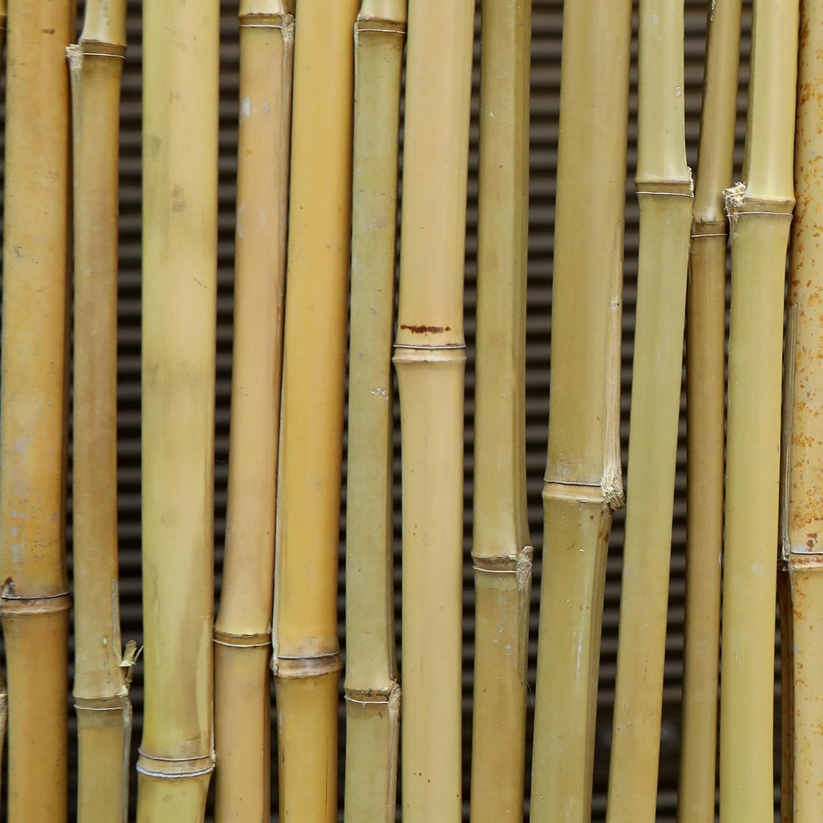 Bamboo Fence 8ft x 6ft Natural Privacy Screen H809
