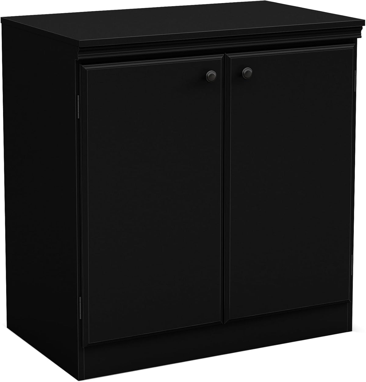 Small 2-Door Storage Cabinet with Adjustable Shelf, Pure Black I658