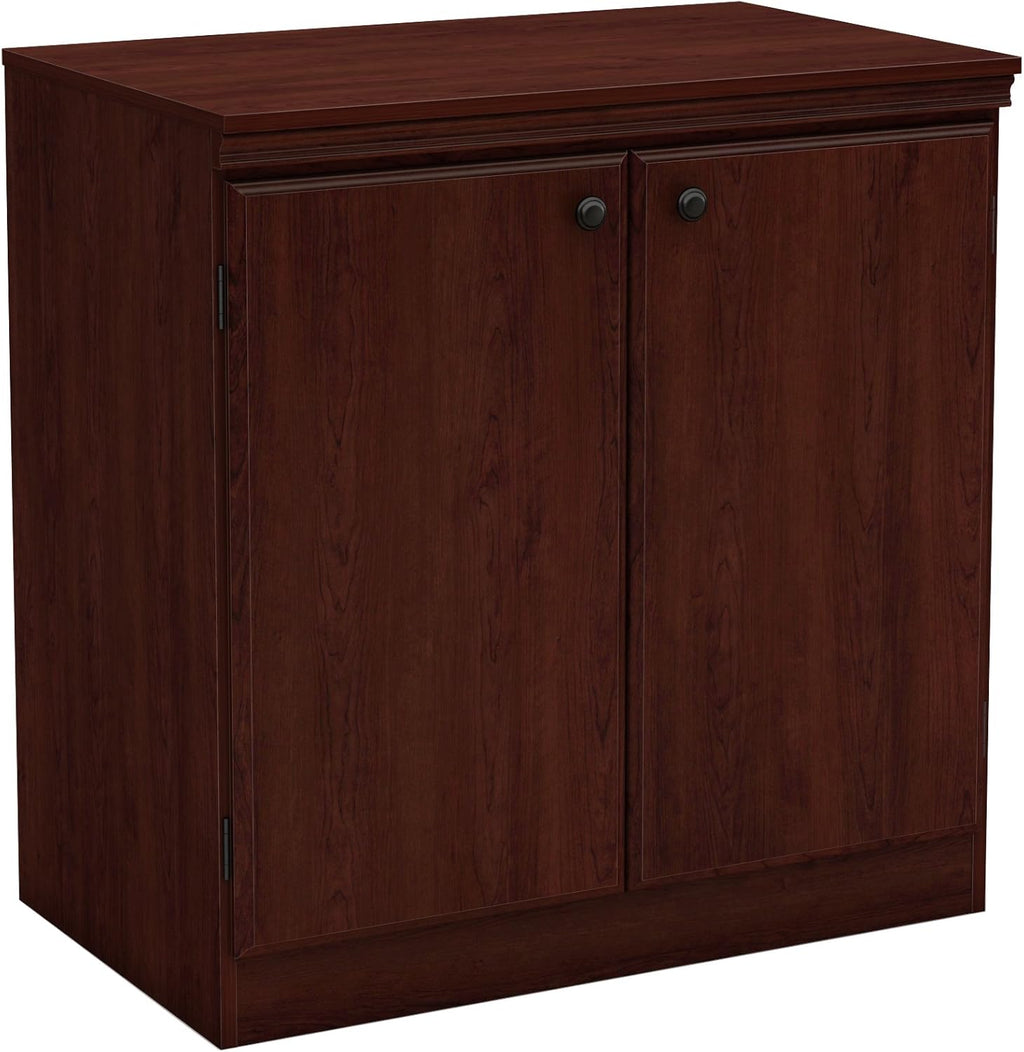 Small 2-Door Storage Cabinet with Adjustable Shelf, Pure Black I658