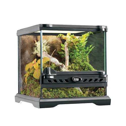 Glass Terrarium E14456