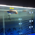Acrylic Divider with Suction Cups M34546