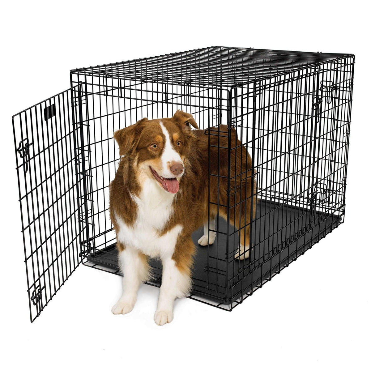 Double Door Dog Crate V786