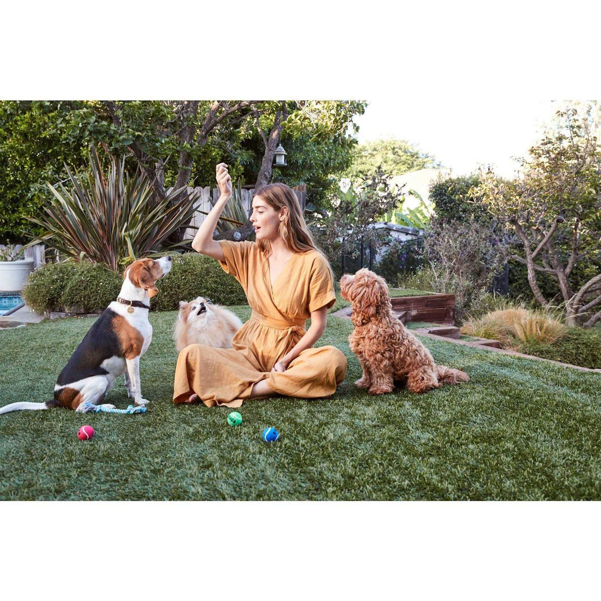 Chicken Strips Dog Treats Z65632
