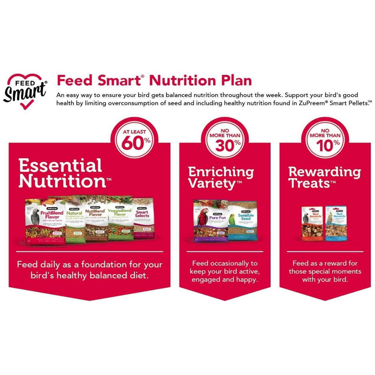 Bird Food for Medium Birds D207304
