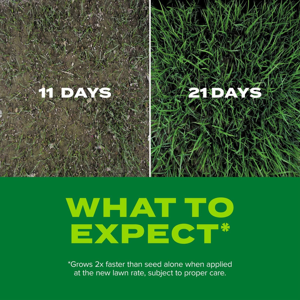 Tall Fescue Mix Seed & Fertilizer, 16 lbs. Pack of 2 Y23281