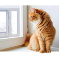 Aluminum Sash Pet Door F909