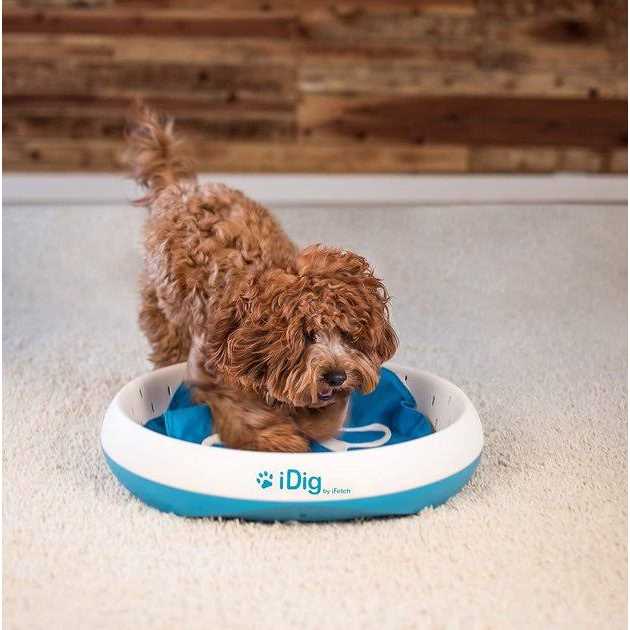 Dog Toy P12263