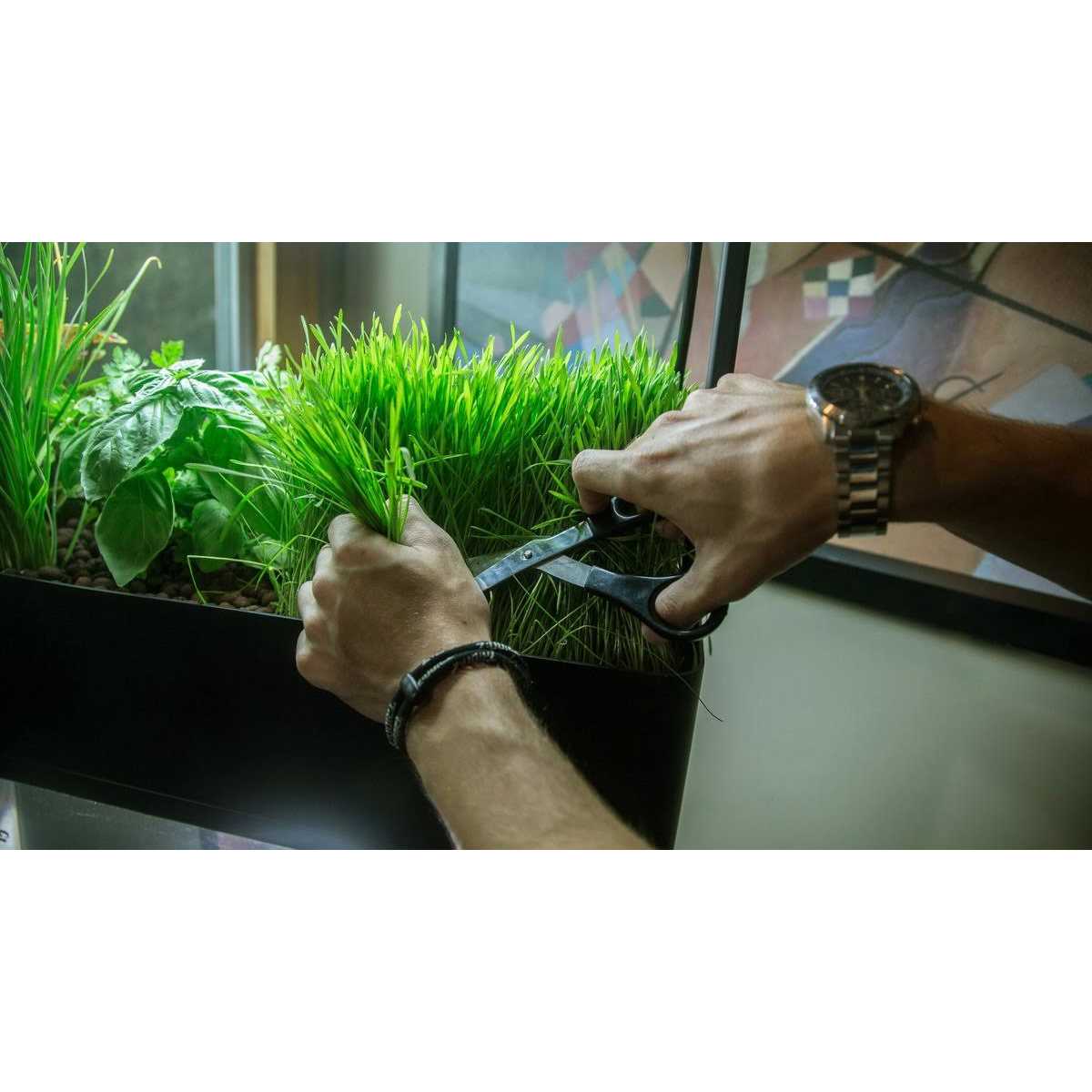 Garden kit O9195