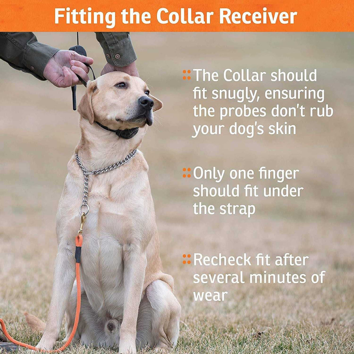 Add-A-Dog Collar F982379