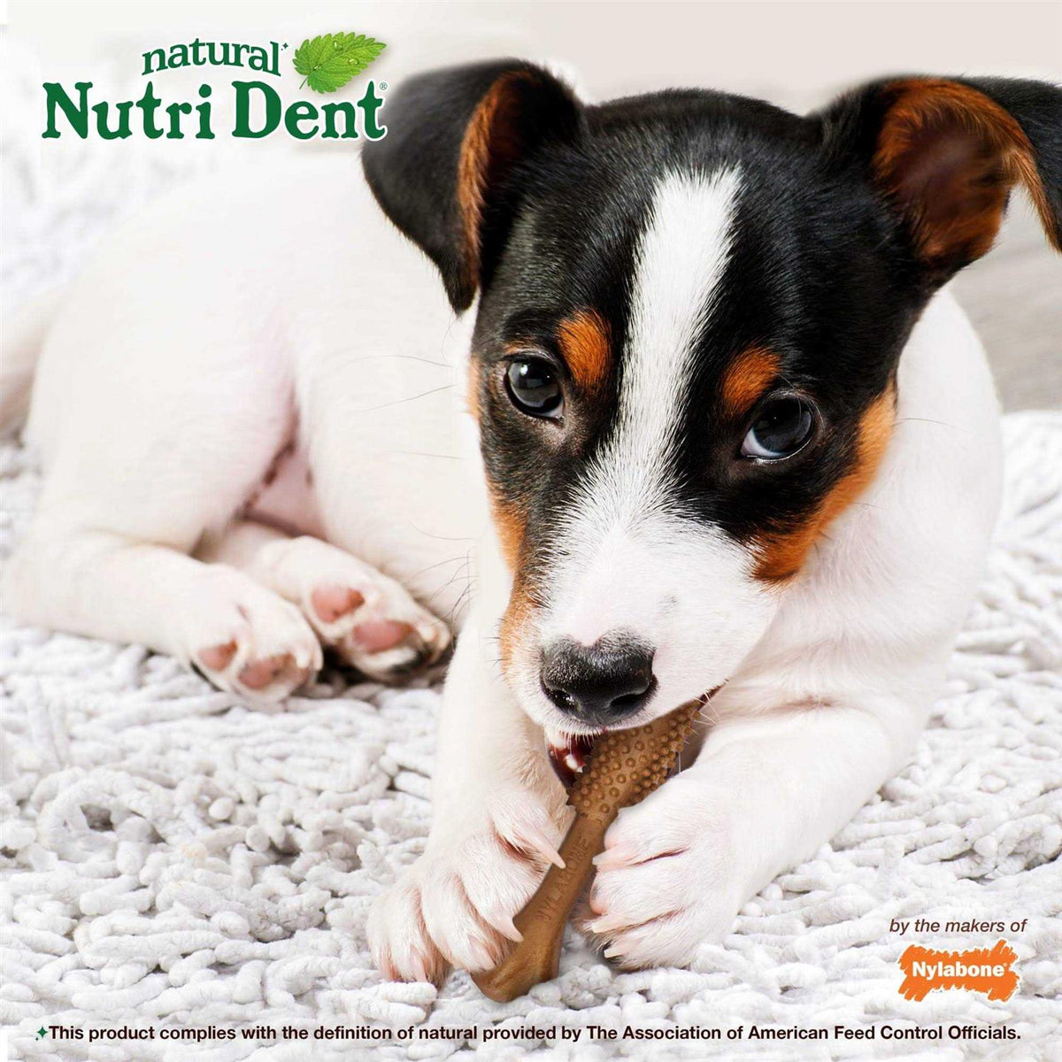 Nutri Dent Dental Chews Filet Mignon Z3416