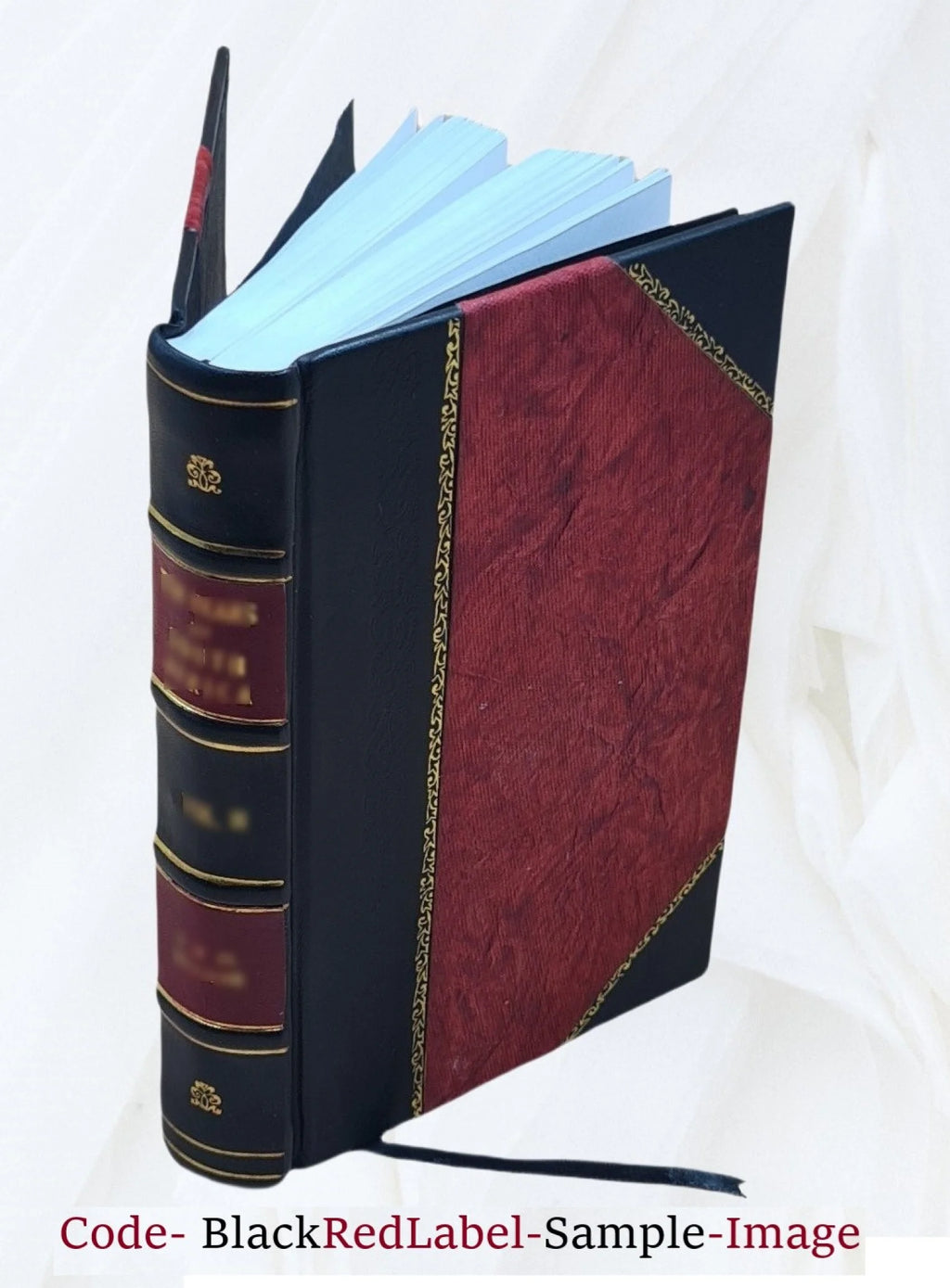 Defective Eyesight Leather Bound R67732
