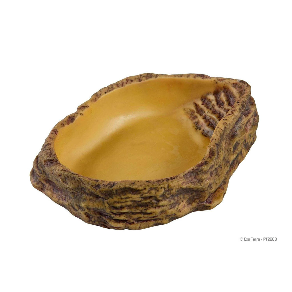 Water Dish C849824