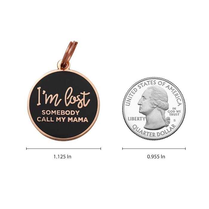 Rose Gold & Navy Pet ID Tag Y42788