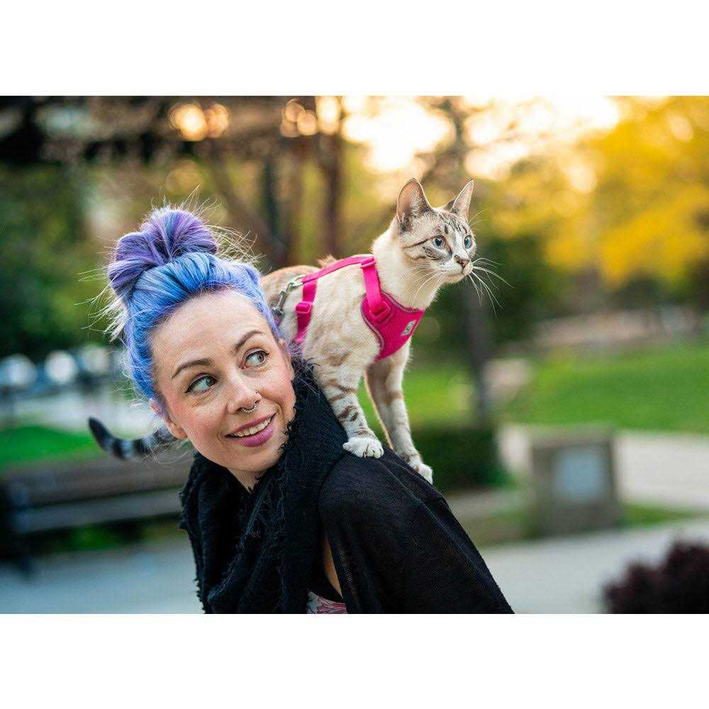 Cat Harness A5103