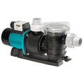 Pool Pump 1 HP Z98767