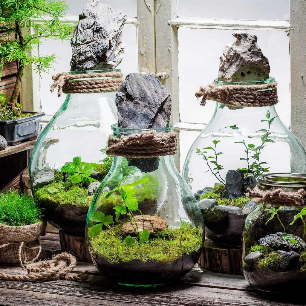 Terrarium Potting Soil Mix with Charcoal H91930