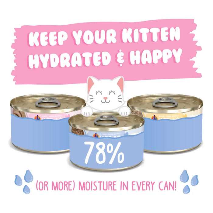 Kitten Cat Food Variety Pack X208