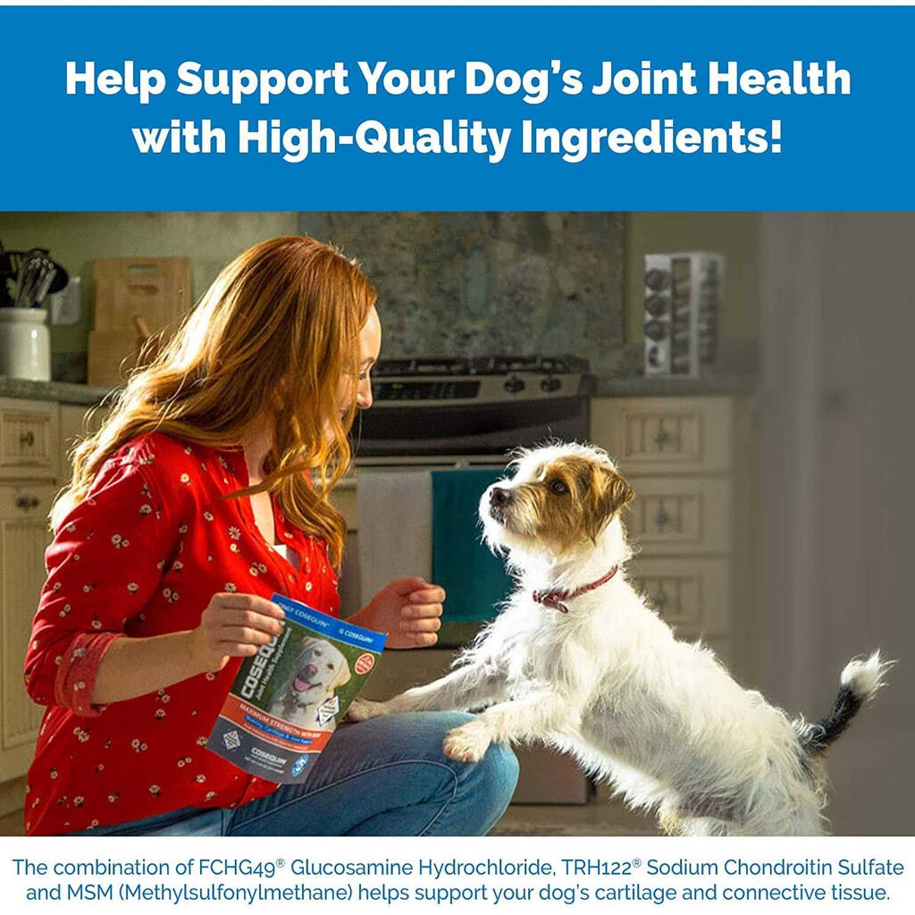Chewable Tablets for Dogs X7129