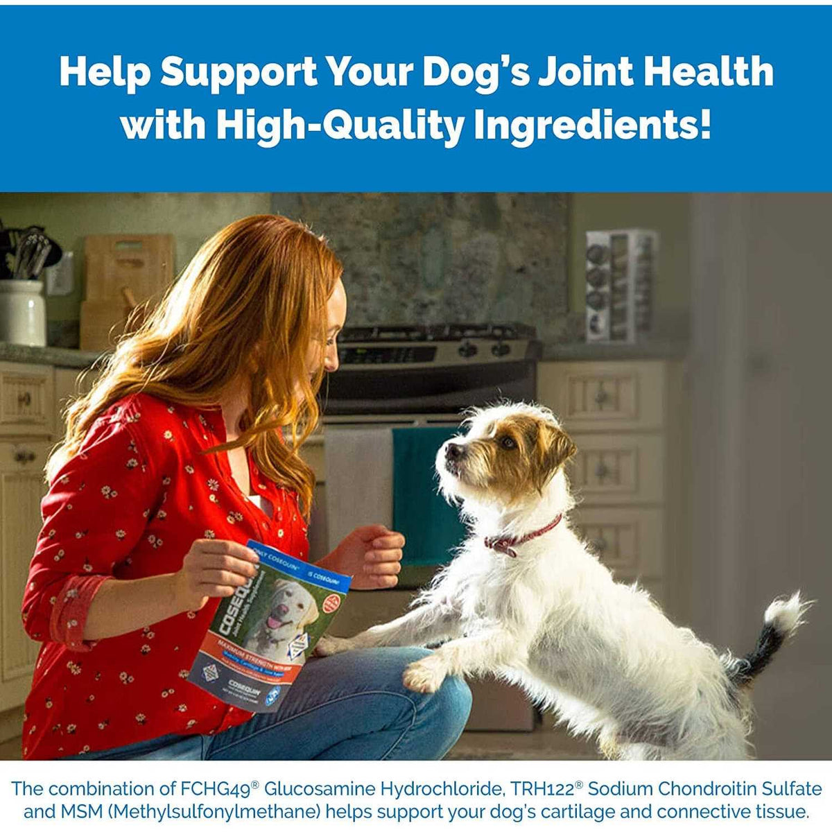 Chewable Tablets for Dogs X7129