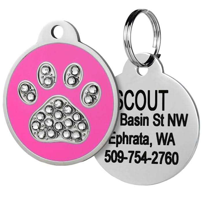 Stainless Steel Personalized Dog & Cat ID Tag G81003
