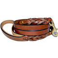 Leather Braided Dog Leash M760