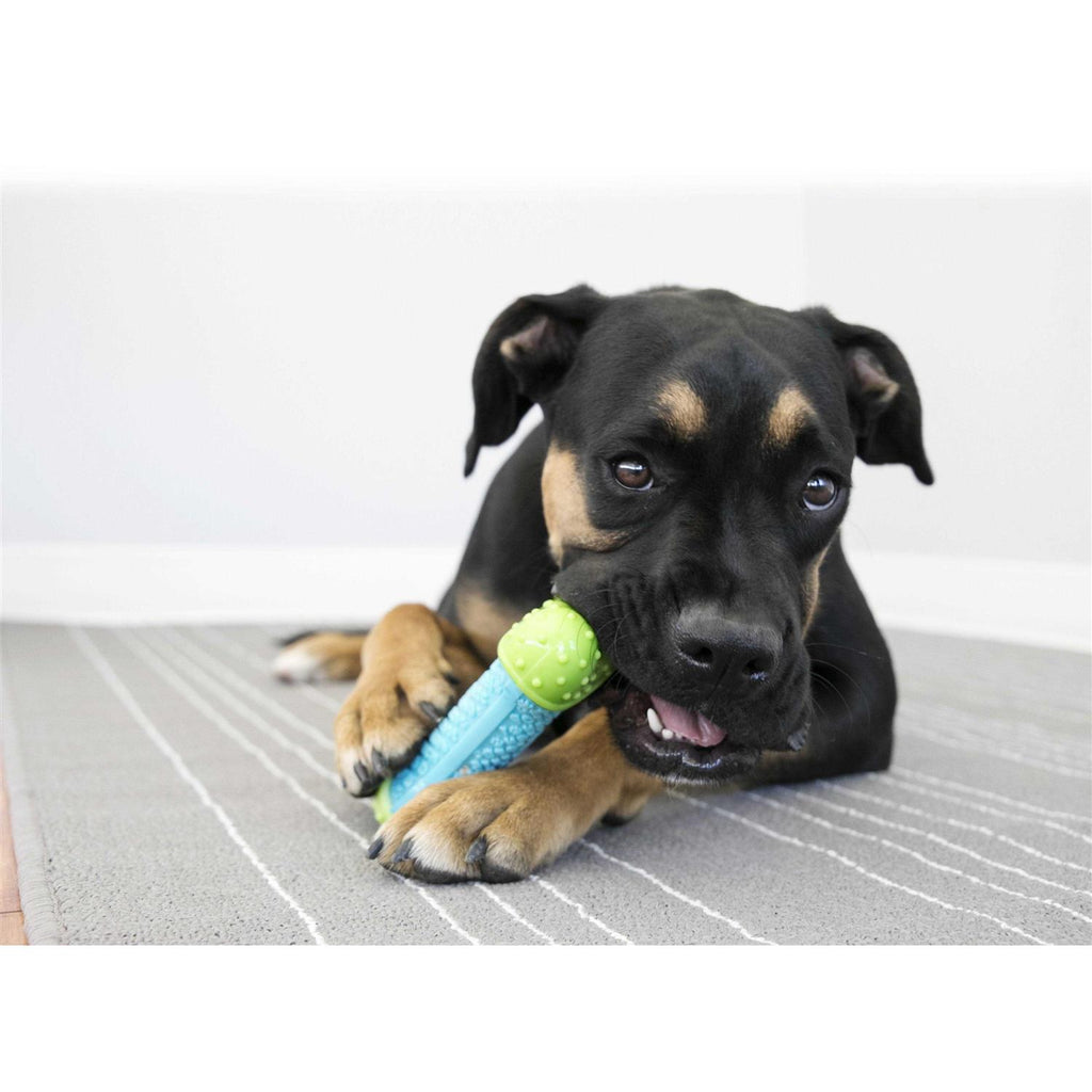 Bone Dog Toy I547