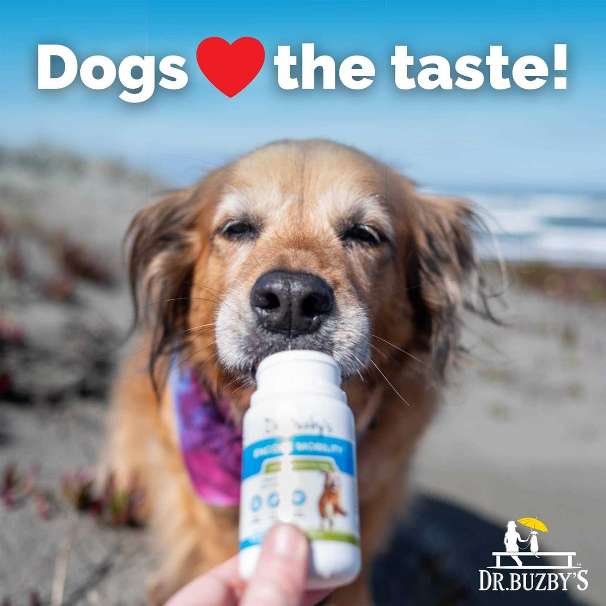 90 Chewable Tablets Hip & Joint Supplement for Senior Dogs Q46766