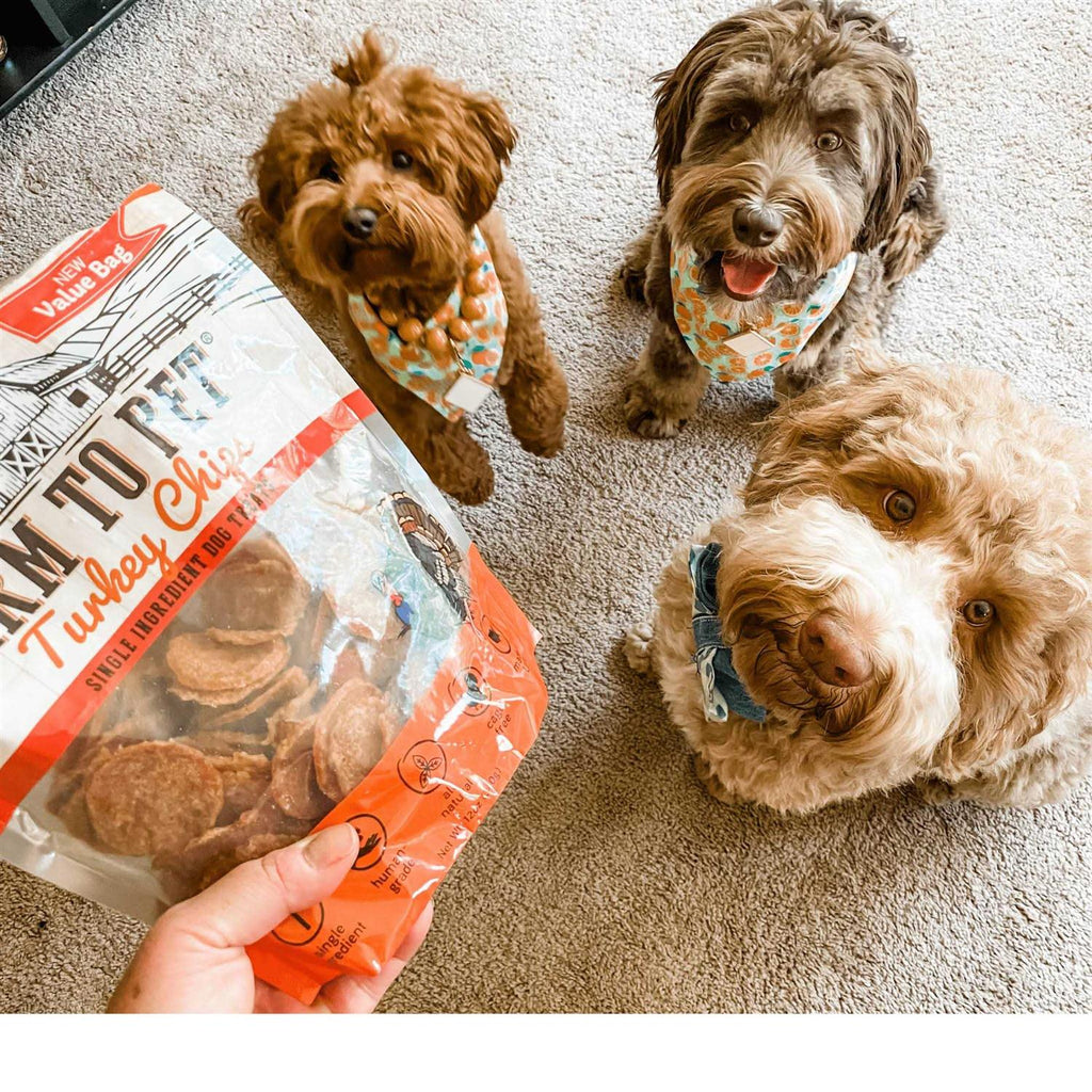 Turkey Chips Dog Treats V628