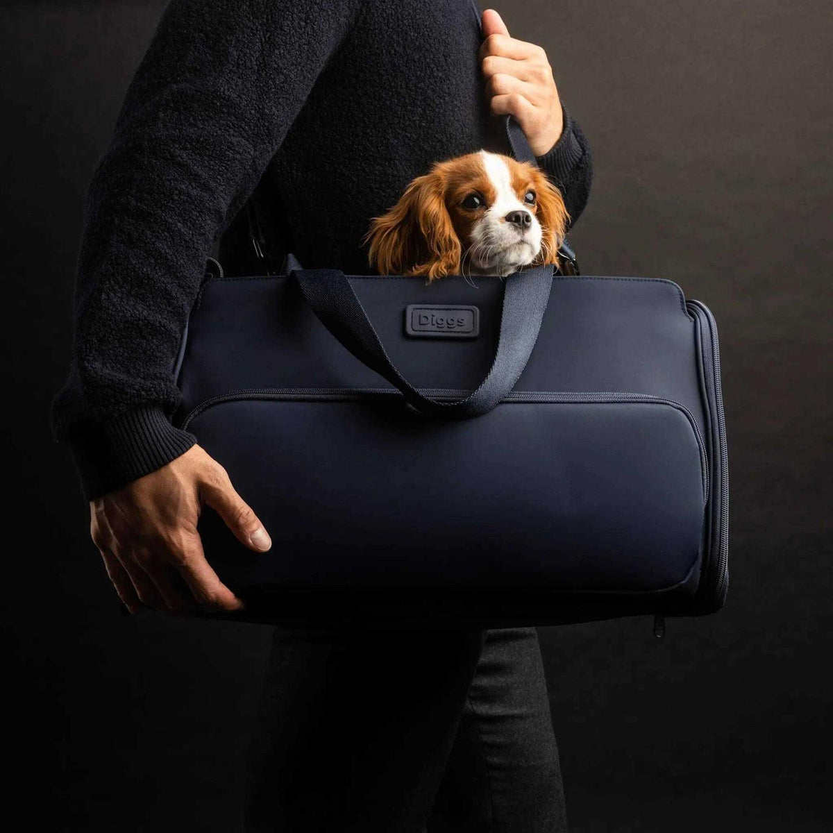 Travel Pet Carrier for Small Dogs and Cats B215