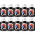 Brain Supplement 10 Bottles U88759