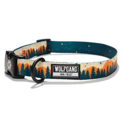 Dog Collar A25635