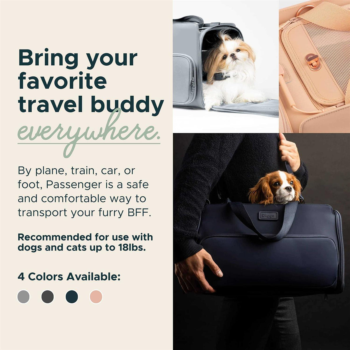 Travel Pet Carrier for Small Dogs and Cats B215