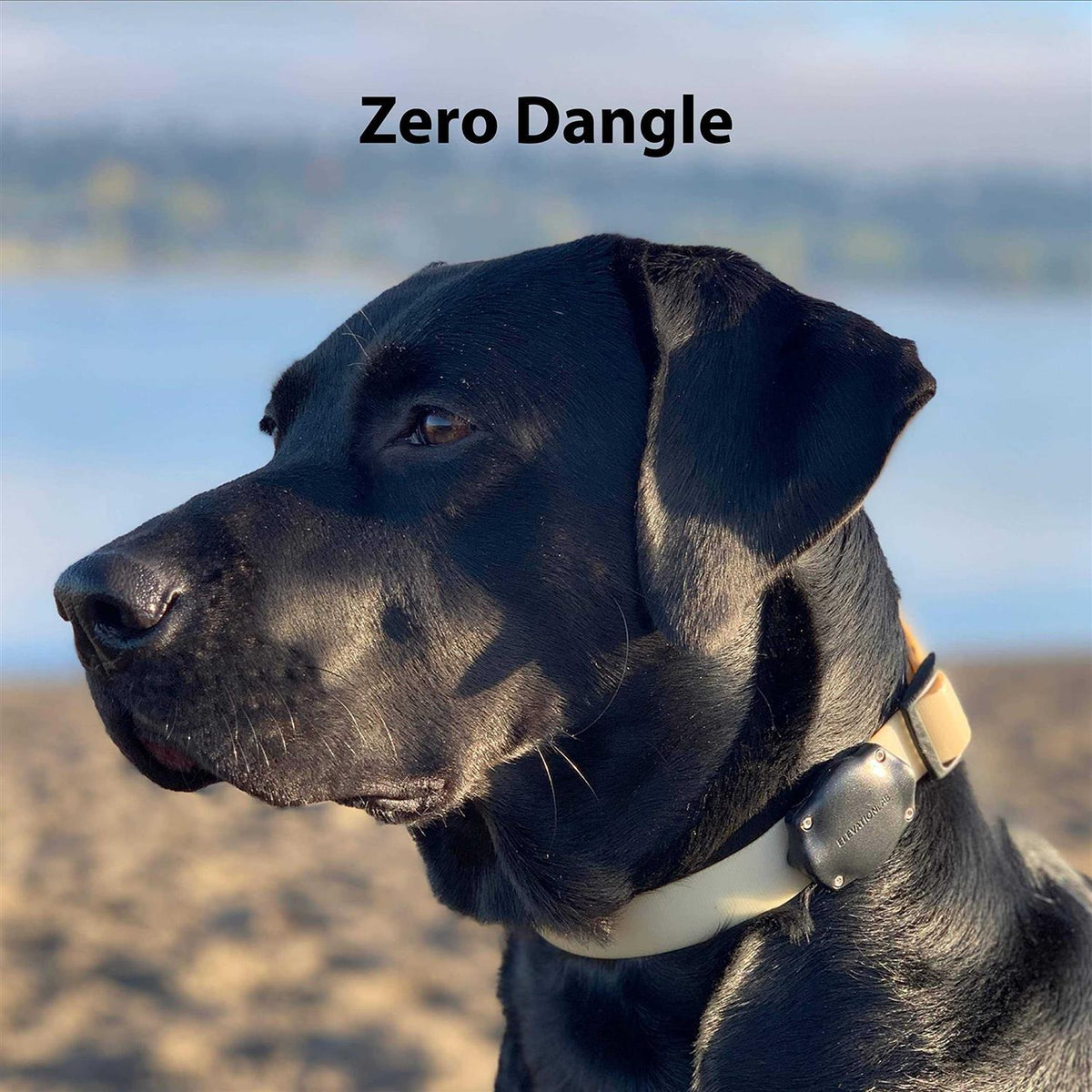 Waterproof AirTag Dog Collar Mount W706789